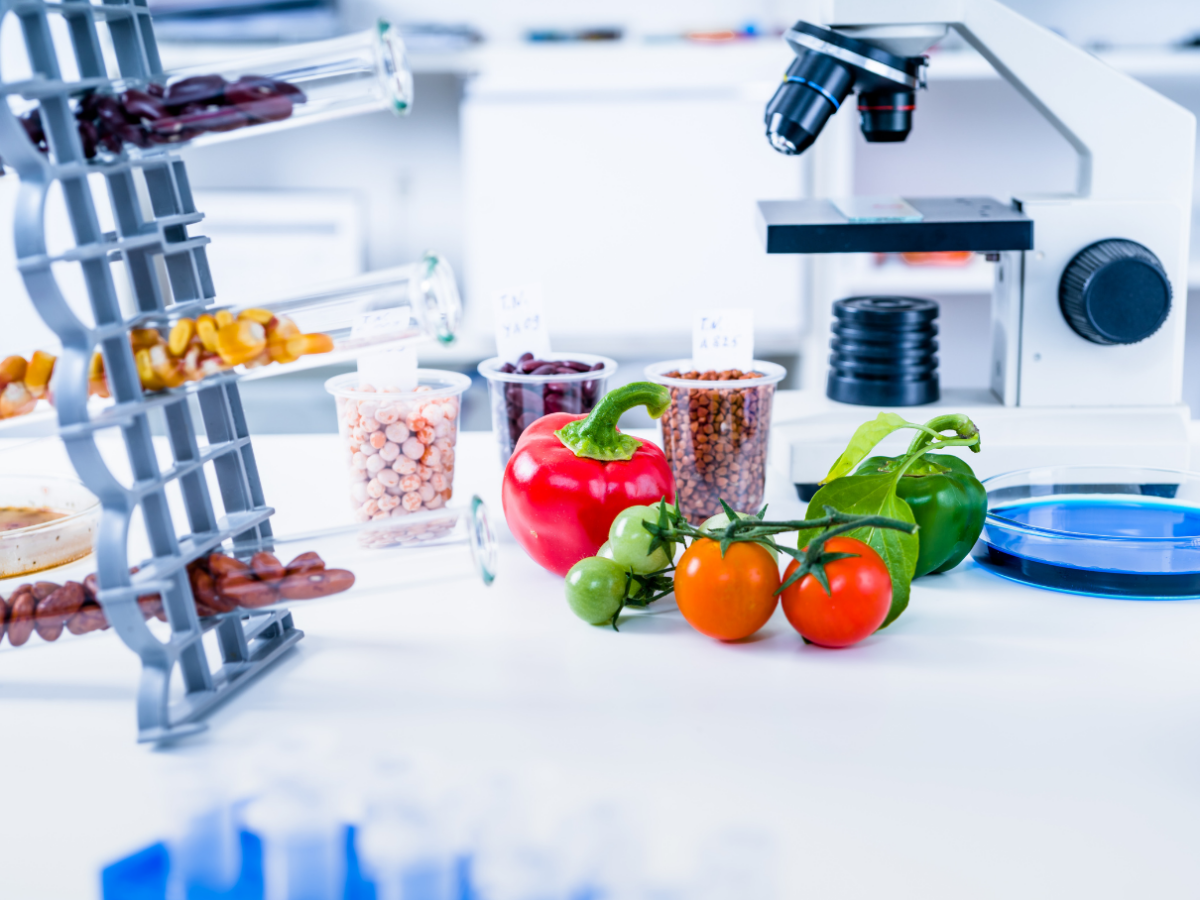 Food Equipment Services, Zeo Route Planner